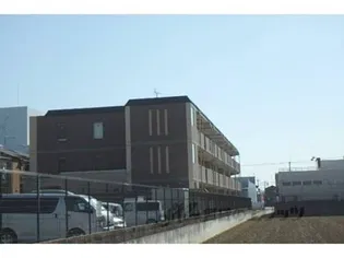 ロイヤルメドウの画像