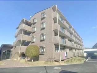 ユーフォリアの画像