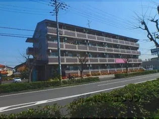 センチュリー柴田?【1102号室】の外観