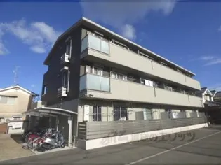 サウス フォリアの画像