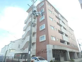 HARMONY SAITOの画像