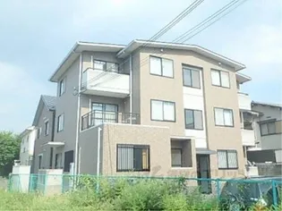 コモドヴィータの画像