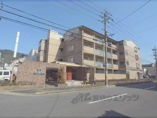 スプリング早稲ノ内1の画像