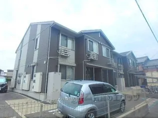 アンティムの画像