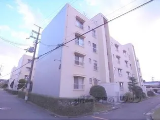 鳥羽街道団地J棟【303号室】の外観