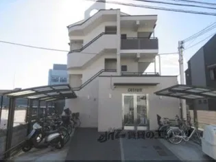 セトラIVの画像