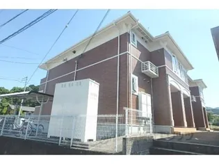 エクセレント Y Sの画像