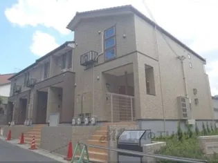 キャメルチュイールの画像