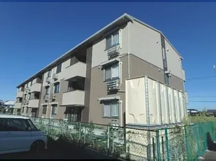 ティーガーデンレジデンス【305号室】の外観