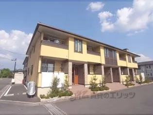 サンコートの画像