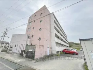 ブラッサム精華【2階】の外観