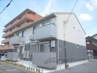 ココアスの画像