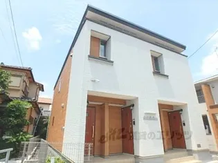 FIELD SHALLOWSの画像