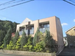 グレイスの画像