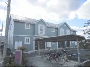 シュテルンの画像