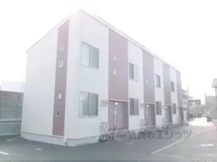 レオネクストカシオペア【204号室】の外観