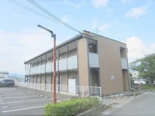 レオネクストシャルマン金岐の画像