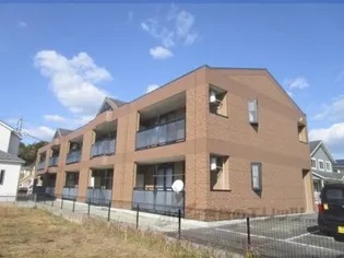 PAULOWNIAⅡの画像