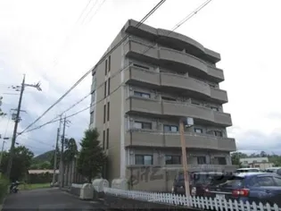 サンバティーク【502号室】の外観