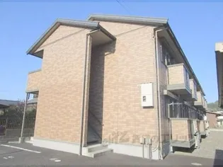 クローバーの画像