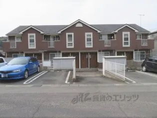 カンパーニュの画像