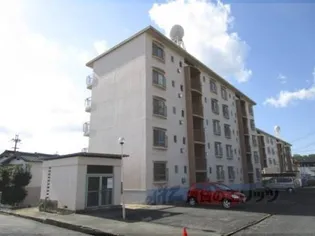 辻ハイツ?【2階】の外観