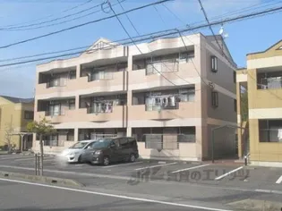 PREVAIL VANの画像