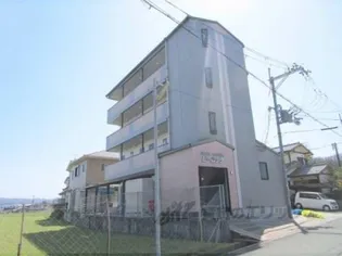 ピーコックの画像