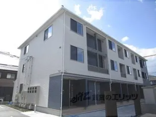 グラール若竹の画像