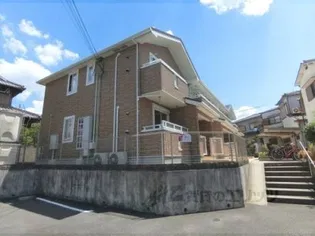 ひまわりの画像