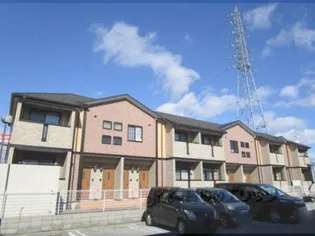 ルーステララの画像