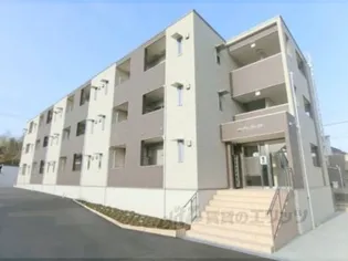 サンシャイン パインオークの画像