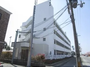 モン シェリ マ シェリの画像