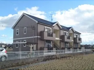 レモナ押熊の画像