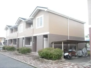 ゴールドパディⅤの画像