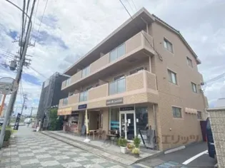 キャンファーフィールドの画像