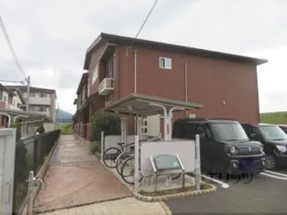 プルメリアFの画像
