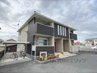 ノース アンシェントの画像