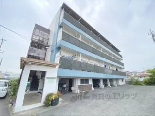 アルビラージュの画像