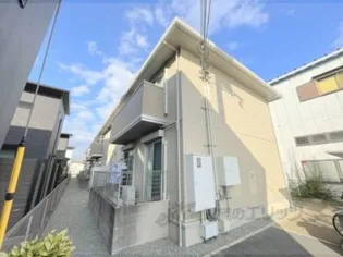 シャロー パディの画像