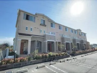 グリーン琥珀の画像