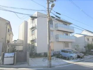 SHAMAISONT Kの画像