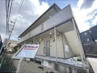 カラコレスの画像