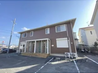 カメリアの画像