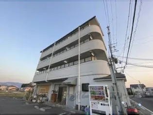 アイリスハイツ6号館【3階】の外観