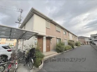 カトレアの画像