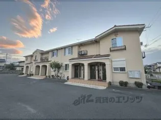 シャンプラージュの画像