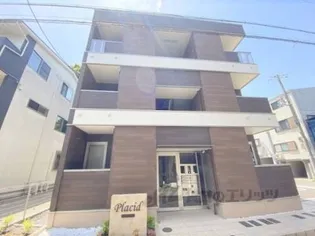 プラシードの画像