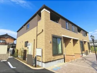 プラシードNの画像