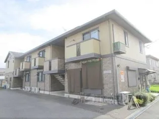 ゴマリ ジャーディンの画像